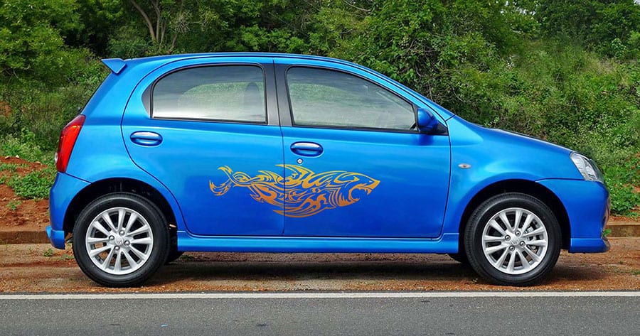 Shark Attack Car Graphics