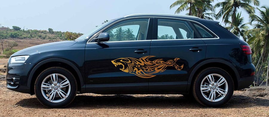 Shark Attack Car Graphics