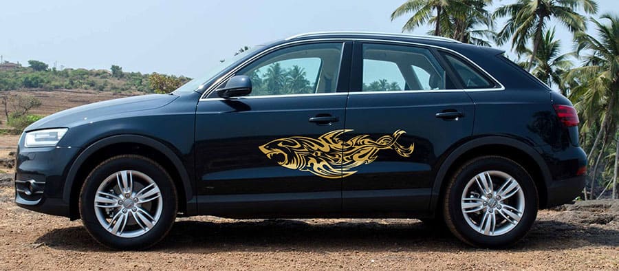 Shark Attack Car Graphics