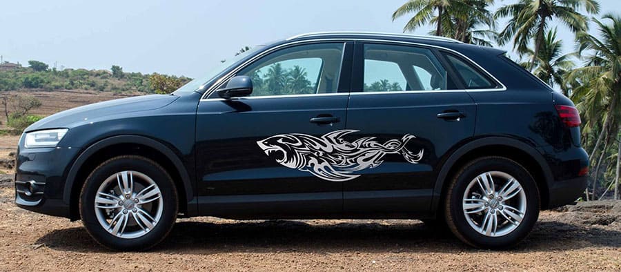 Shark Attack Car Graphics