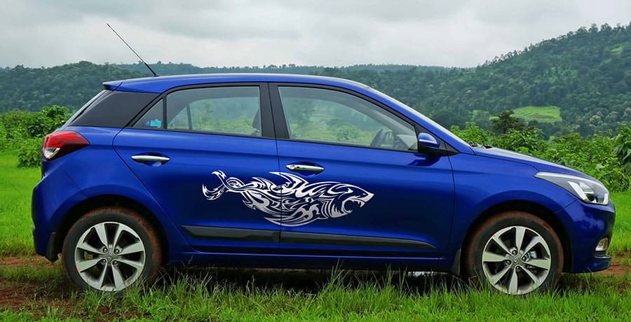 Shark Attack Car Graphics