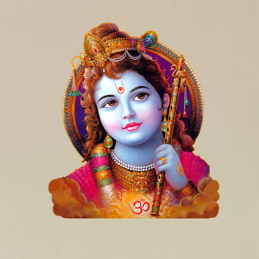 Beautiful Krishna Painted Wall Sticker