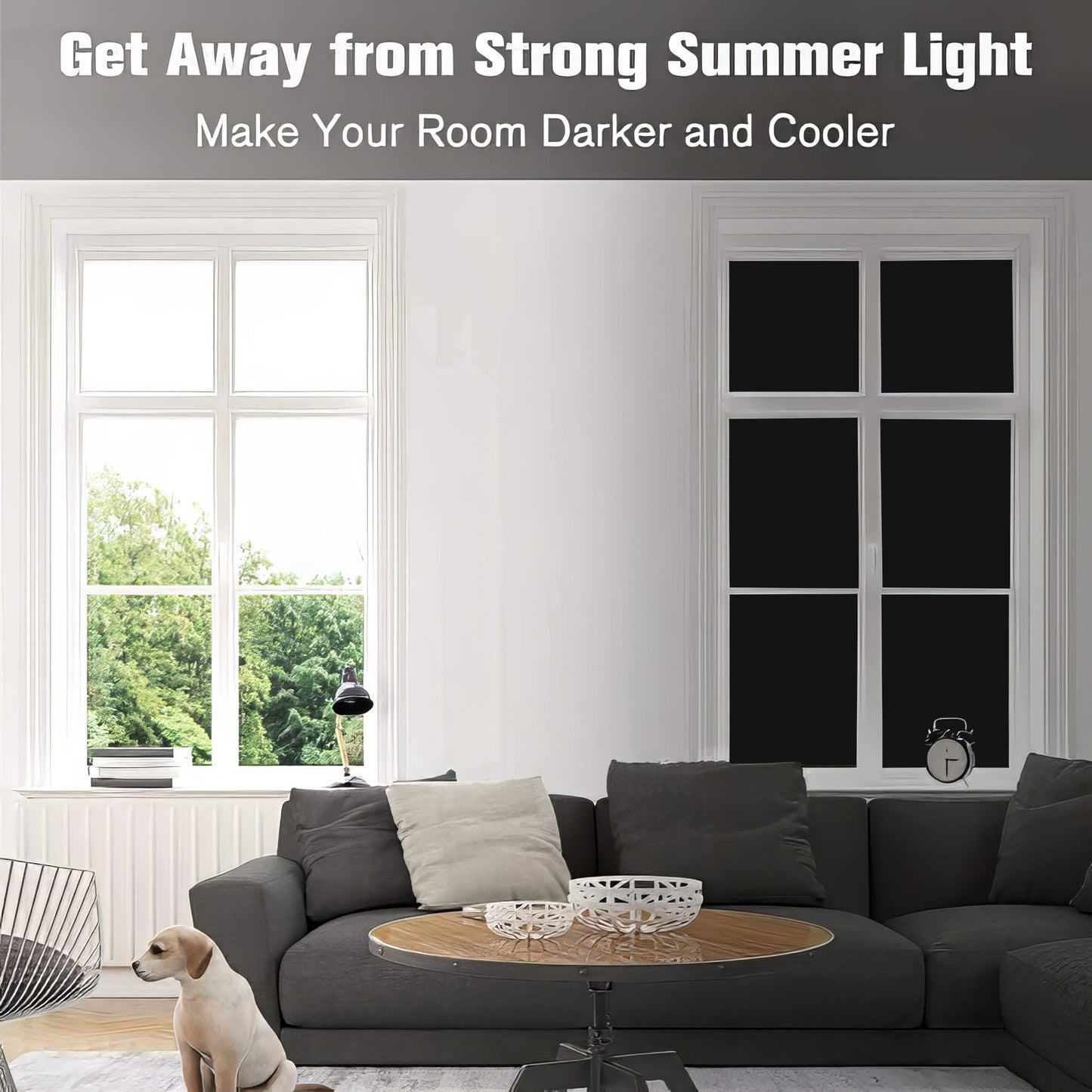 Black Opaque Film For Glass Partition/Glass Door/Bathroom/Living Rooms/Home Offices/Kitchens Self Adhesive Privacy - (Black Colour)