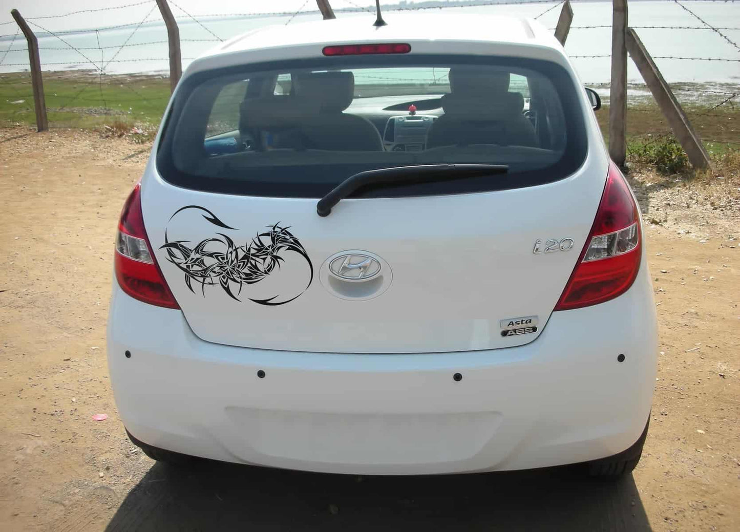 Dragon Tail Car Decal