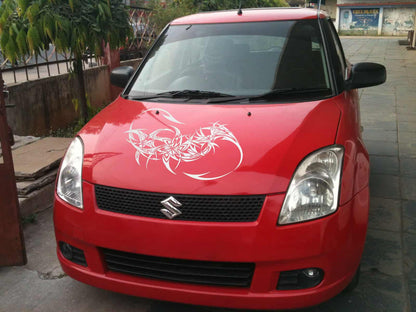 Dragon Tail Car Decal