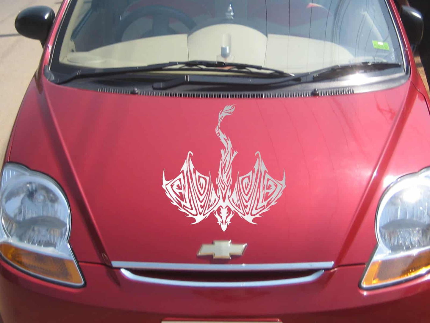 Dragon Avatar Car Graphics