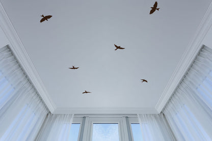 Ceiling Birds Paint Stencil