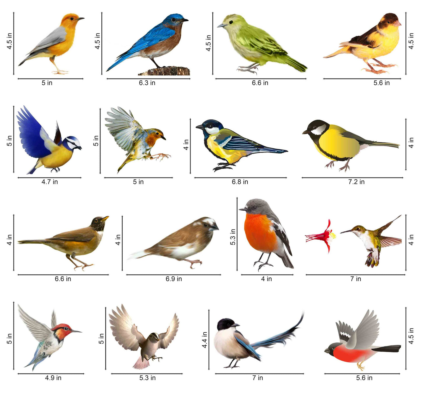Colorful Natural Birds Big Sticker - Set of 16