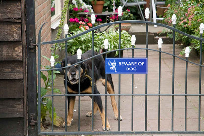 Caution "Beware of Dog" Foam Sign Board - 18 in x 7 in