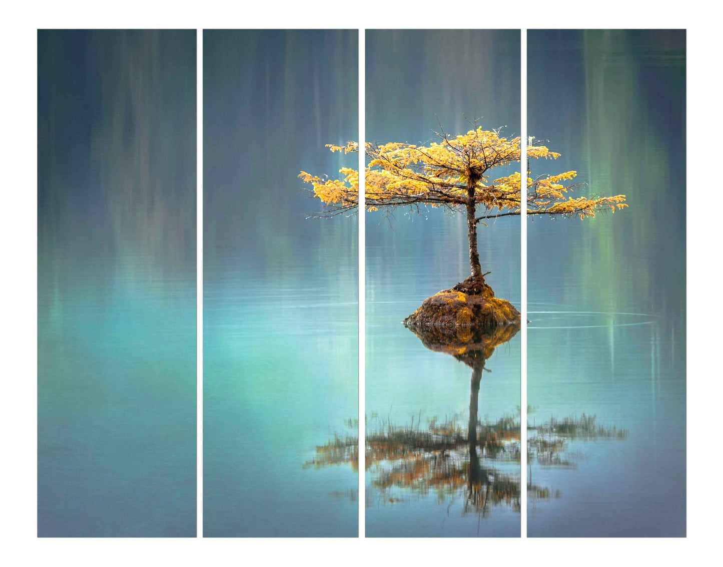 Tree in the Middle of Lake Wall Photo Print