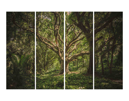 Wide Tree Wall Digital Print