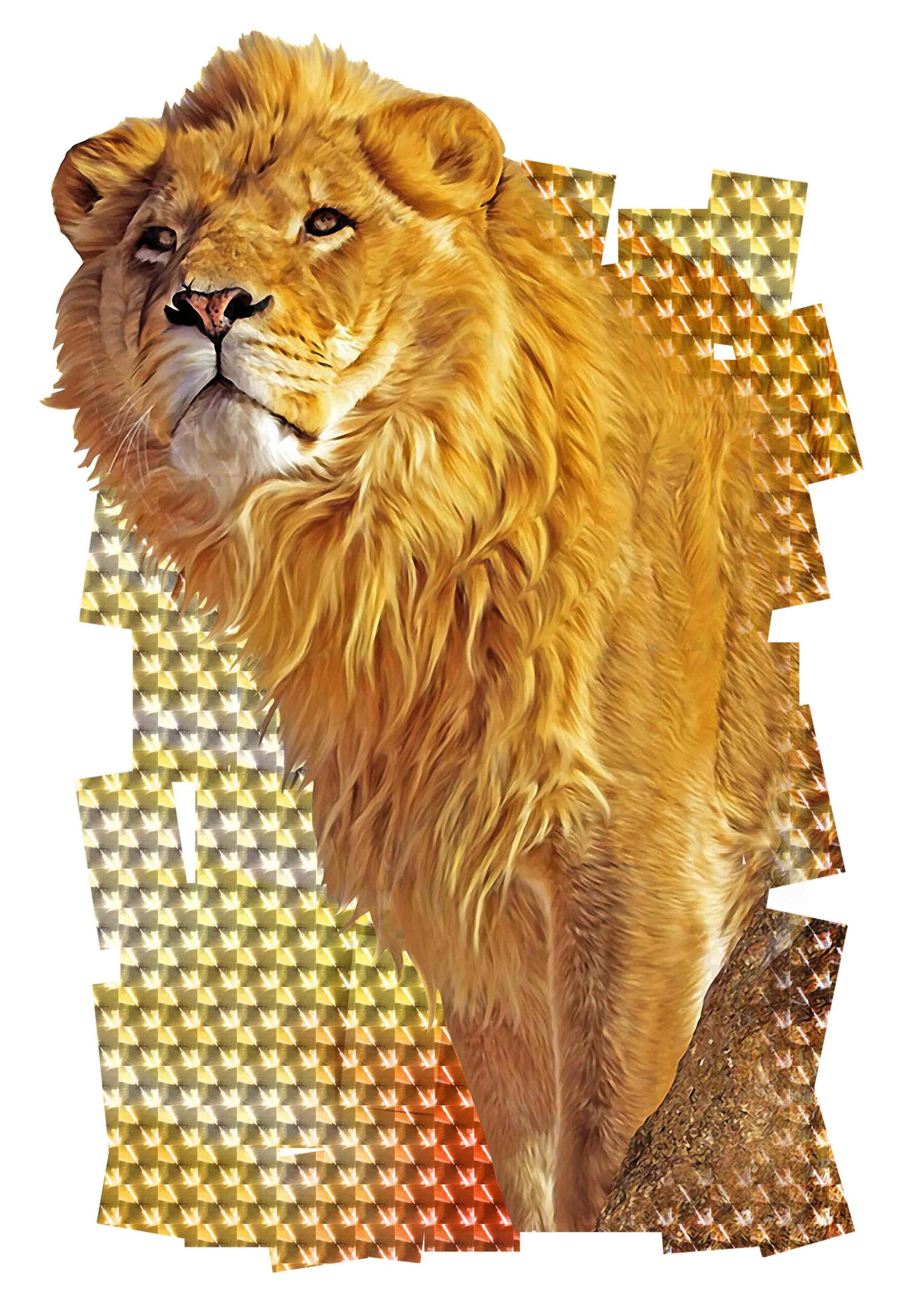 3D Lion Wall Sticker