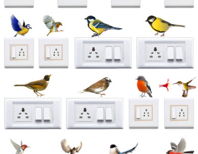 Colorful Natural Birds Switchboard Sticker